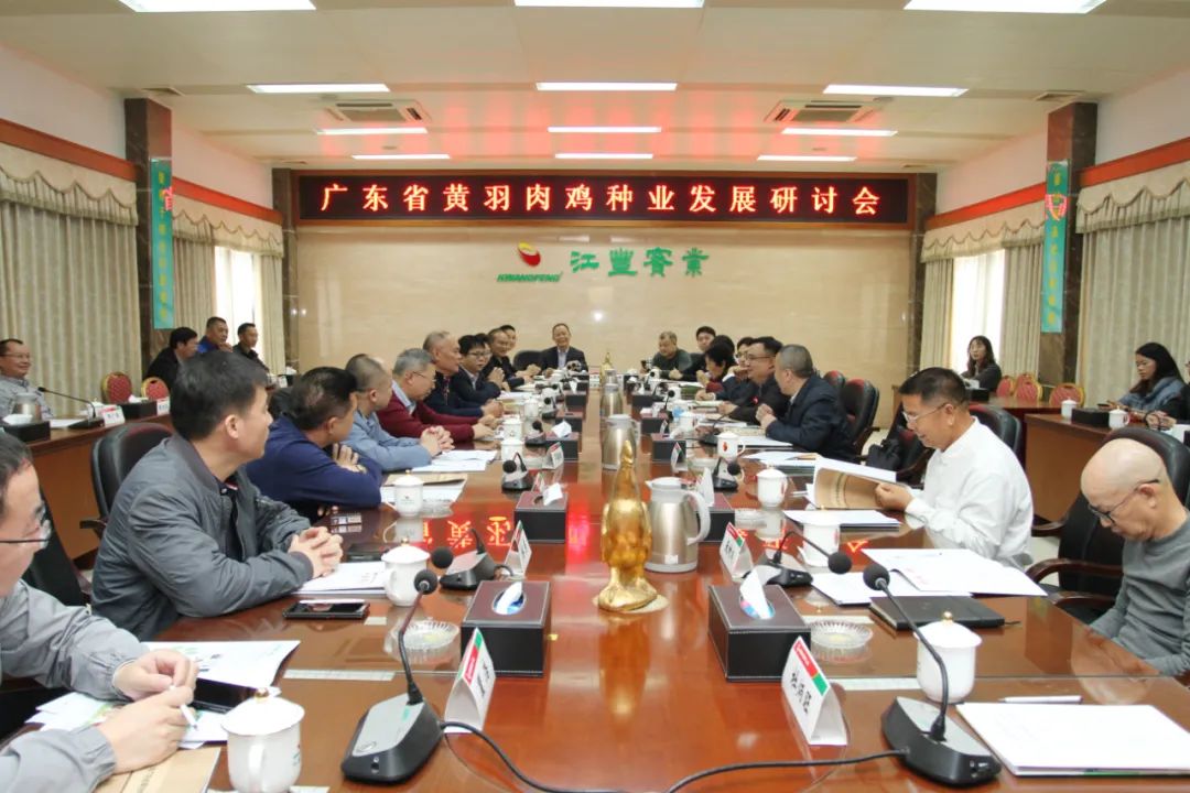我司成功舉辦廣東省黃羽肉雞種業發展研討會